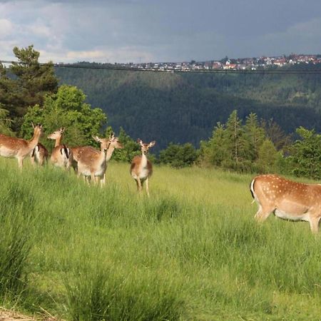Lovely Apartment In The Black Forest Villingen-Schwenningen Εξωτερικό φωτογραφία