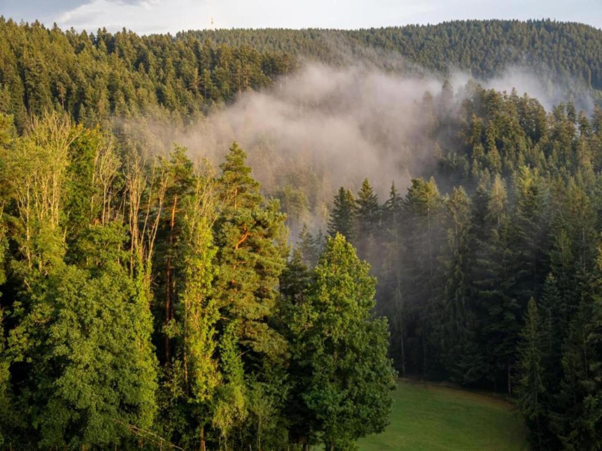 Lovely Apartment In The Black Forest Villingen-Schwenningen Εξωτερικό φωτογραφία