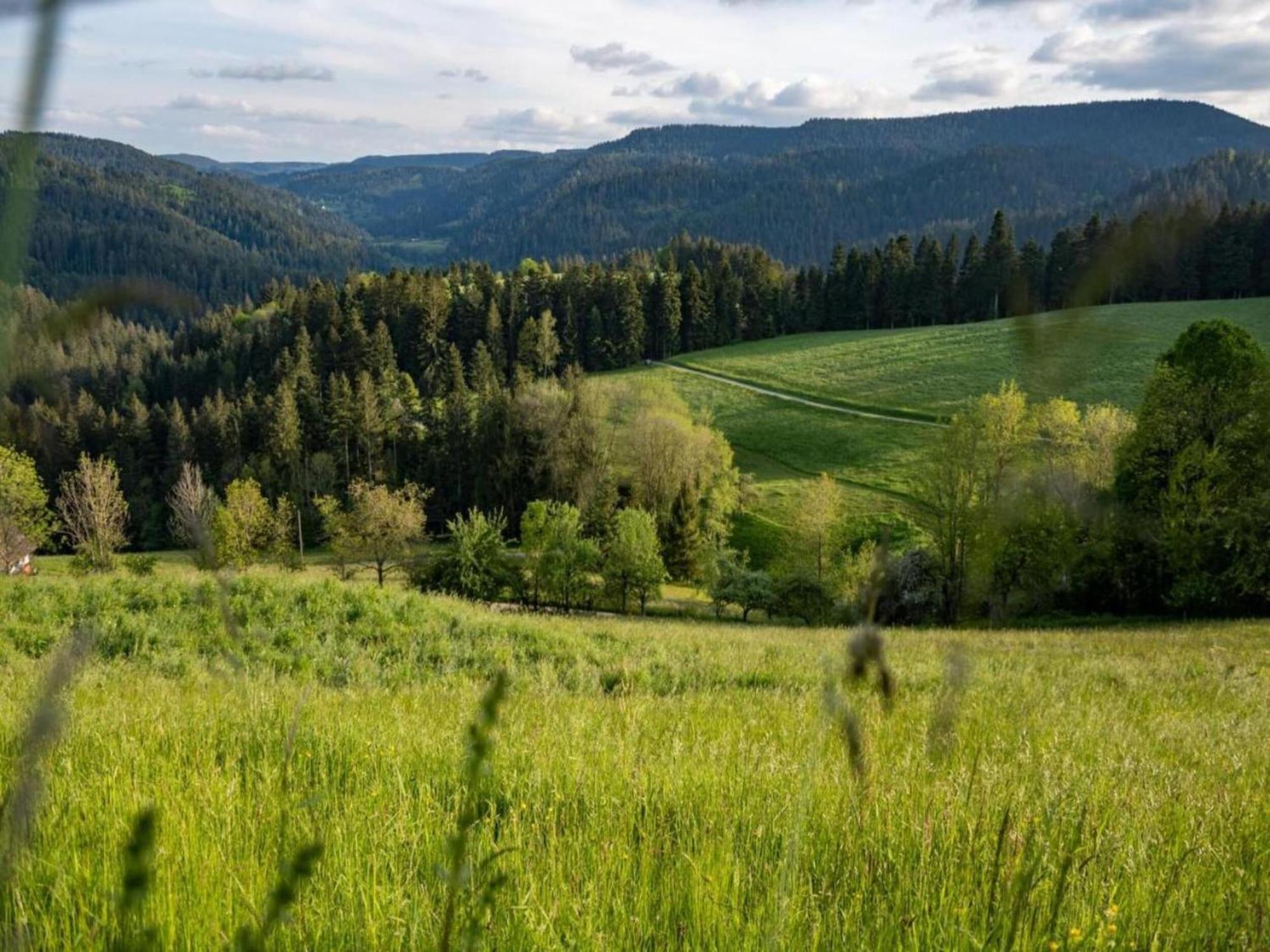 Lovely Apartment In The Black Forest Villingen-Schwenningen Εξωτερικό φωτογραφία