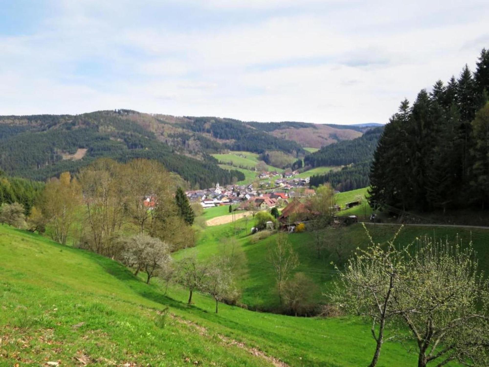 Lovely Apartment In The Black Forest Villingen-Schwenningen Εξωτερικό φωτογραφία