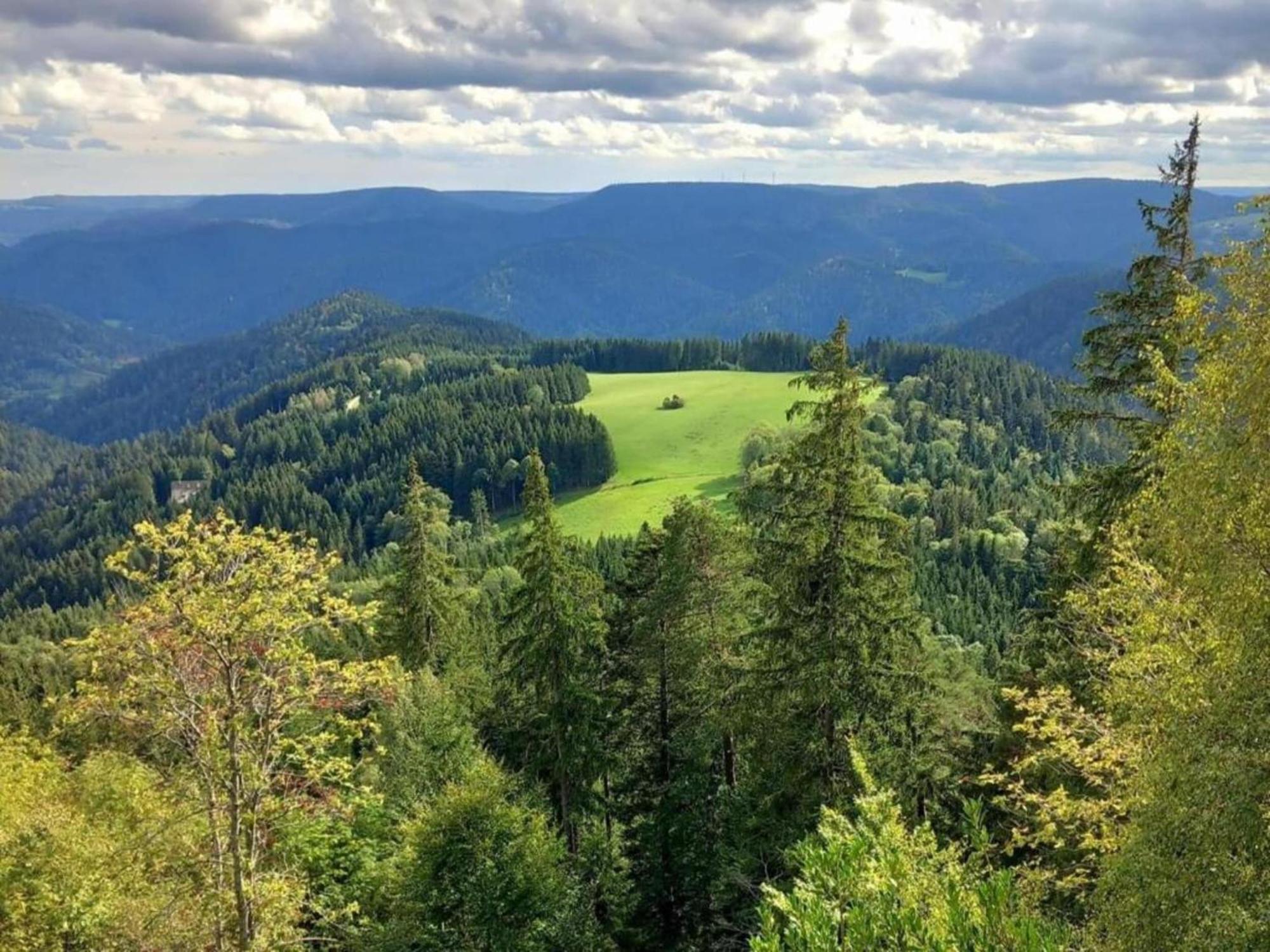 Lovely Apartment In The Black Forest Villingen-Schwenningen Εξωτερικό φωτογραφία